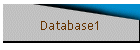 Database1
